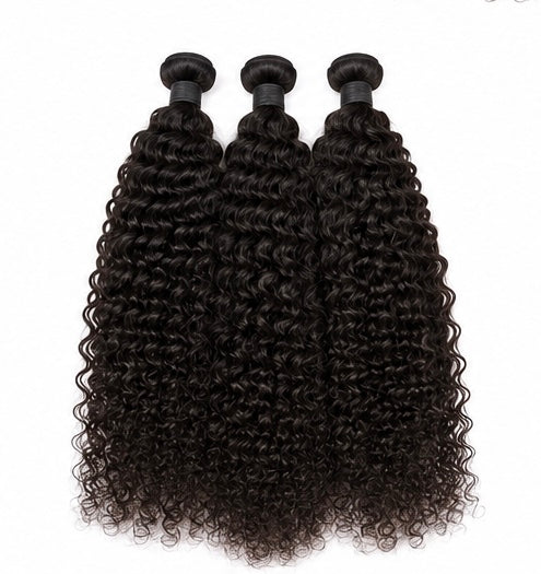Virgin Indian Burmese Curly